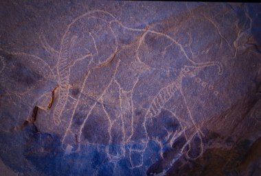 Cezayir, Sahara Çölü'nde hayvanların Wilaya Tamanrasset, Hoggar Dağları, antik kaya çizimler