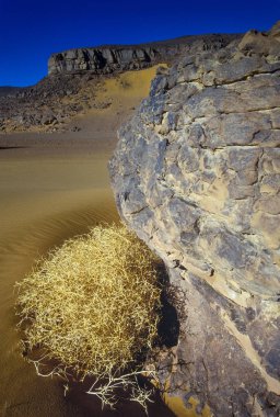 Afrika, Cezayir, Sahara, Tassili N'Ajjer Milli Parkı, Tadrart, kaya kuleleri ve kum tepeleri 