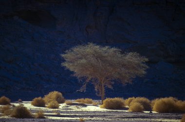 Afrika, Cezayir, Sahara, Tassili N'Ajjer Milli Parkı, Tadrart, kaya kuleleri ve kum tepeleri 