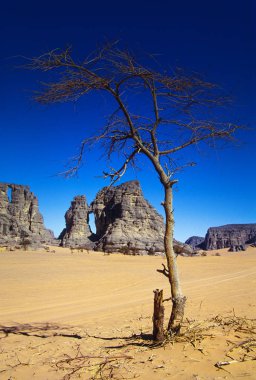 Afrika, Cezayir, Sahara, Tassili N'Ajjer Milli Parkı, Tadrart, kaya kuleleri ve kum tepeleri 