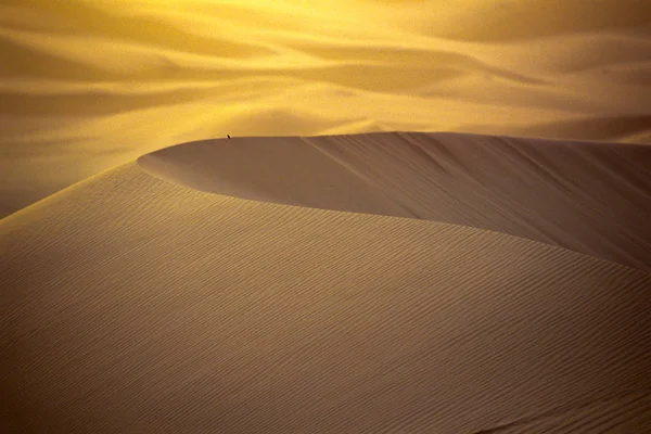 Afrika Alžírsko Sahara Tassili Národní Park Tadrart Skalní Věže Písečné — Stock fotografie