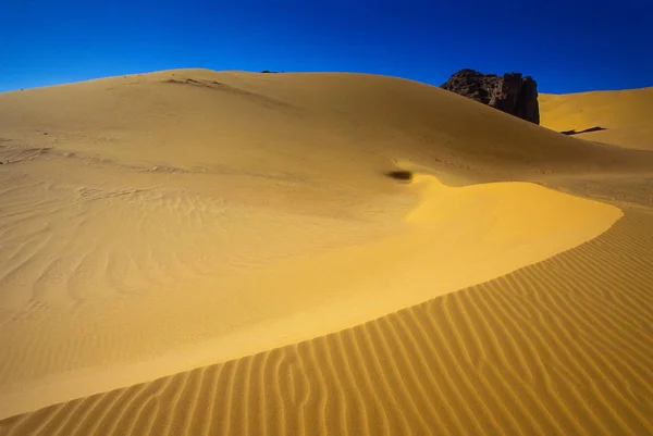 アフリカ アルジェリア サハラ タッシリ Ajjer 国立公園 タドラルト — ストック写真