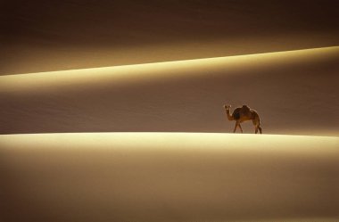 Afrika, Cezayir, Sahara, Tassili N'Ajjer Milli Parkı, Tadrart, kaya kuleleri ve kum tepeleri 