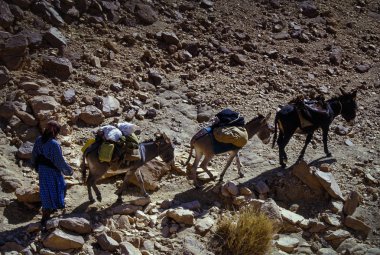 Tassili Najjer, Cezayir - 10 Ocak 2002: bilinmeyen bir adam ile göçebeler kum tepeleri Cezayir Sahara Çölü, Afrika, Tassili Najjer Milli Parkı nakliyesi için