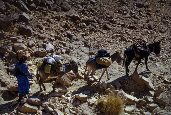 Tassili Najjer Algeria Gennaio 2002 Sconosciuto Con Nomadi Trasporto Nelle — Foto Stock