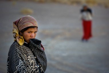 Timimoun, Cezayir - 18 Ocak 2002: bilinmeyen çoban çölün ortasında keçi