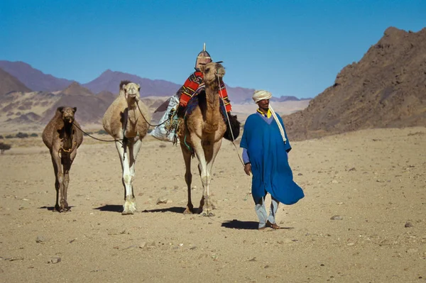 Timimoun Algeria January 2002 Unknown Populations Touareg Tribe Camels Cross — Stock Photo, Image