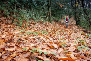 Pisa, İtalya - 12 Haziran 2009: Bilinmeyen bisikletçiler (Monte Serra) dağ serada Sonbahar dönemi, Pisa, Tuscany yolları