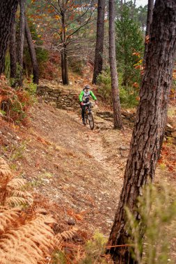 Pisa, İtalya - 12 Haziran 2009: Bisikletçiler (Monte Serra) dağ serada sonbahar dönemi, Pisa, Tuscany yollarının bilinmiyor