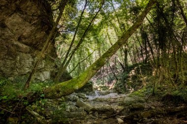 Chianni, Pisa, Toskana - Ghiaccioni Şelalesi