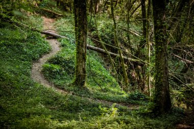 Chianni, Pisa, Toskana - Ghiaccioni Şelalesi