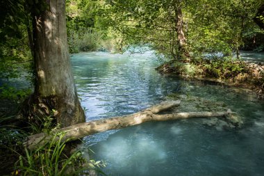 Colle Val d'Elsa, Elsa Nehri parkı, Toskana