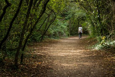 Colle Val d'Elsa, Elsa Nehri parkı, Toskana