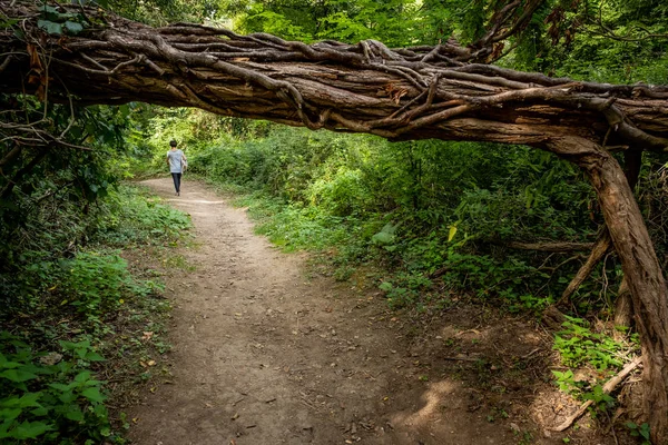 Colle Val d'Elsa, Elsa River park, Tuscany — Stock Photo, Image