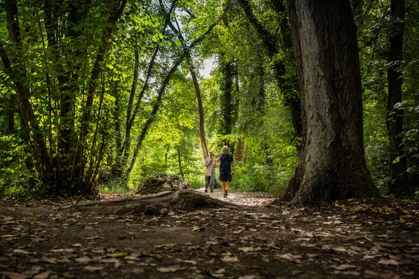 Colle Val d'Elsa, Elsa Nehri parkı, Toskana — Stok fotoğraf