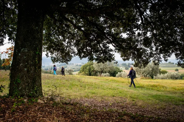 Pomarance, Pisa, Itália — Fotografia de Stock