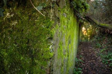San Paolino kalesi ile ortaçağ köyü Ripafratta 'da San Giuliano Terme, Pisa, Tuscany belediyesinde Serchio nehrinin kıyısında dairesel bir yürüyüş.