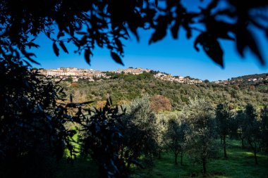 Castagneto Carducci 'nin Etrüsk kıyılarının ortasında, Livorno Maremma' nın kalbinde, ortaçağ köyü Tuscany, İtalya 'nın çevresindeki toprak yolların arasında gezinen manzarası.