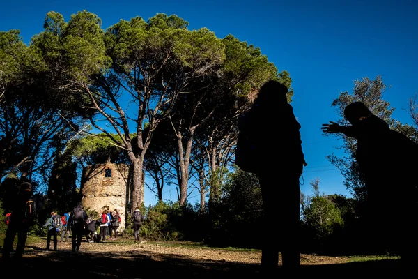 Colina Segalari Preserva Restos Antigo Moinho Longo Rota Para Castagneto — Fotografia de Stock