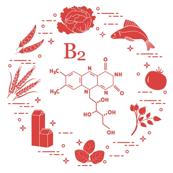 Alimentos Ricos Vitamina Col Pescado Tomate Rosa Perro Espinacas Leche — Vector de stock