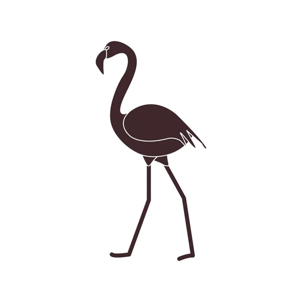 Vector Illustration Flamingo Bird Design Poster Print — Stock Vector