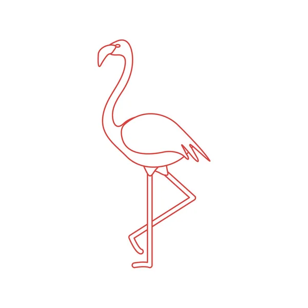 Vektorillustration Med Flamingo Fågel Design För Affisch Eller Skriv — Stock vektor