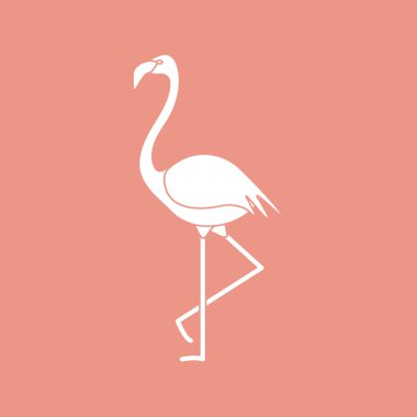 Flamingo kuşu ile vektör çizim. Tasarım poster ya da baskı için.
