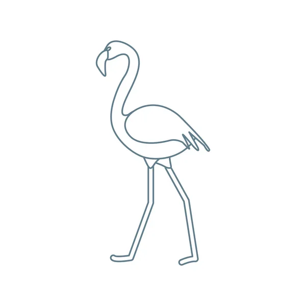 Vektorillustration Med Flamingo Fågel Design För Affisch Eller Skriv — Stock vektor