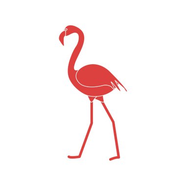 Flamingo kuşu ile vektör çizim. Tasarım poster ya da baskı için.