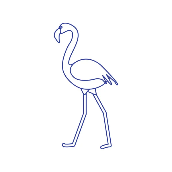 Ilustração Vetorial Com Pássaro Flamingo Design Para Cartaz Impressão —  Vetores de Stock