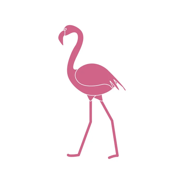 Vektorillustration Med Flamingo Fågel Design För Affisch Eller Skriv — Stock vektor