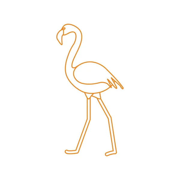 Vektorillustration Mit Flamingo Vogel Design Für Poster Oder Druck — Stockvektor