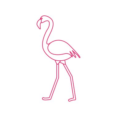Flamingo kuşu ile vektör çizim. Tasarım poster ya da baskı için.