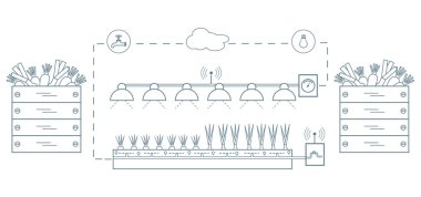 Akıllı çiftlik ve tarım. Düzey izleme ve kontrol, sıcaklık, nem, ışık. Bitkilerin ekimi. Yeni teknolojiler. Yüksek verim.