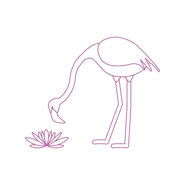 Vektorillustration Med Flamingo Fågel Och Näckrosor Blommor Design För Affisch — Stock vektor