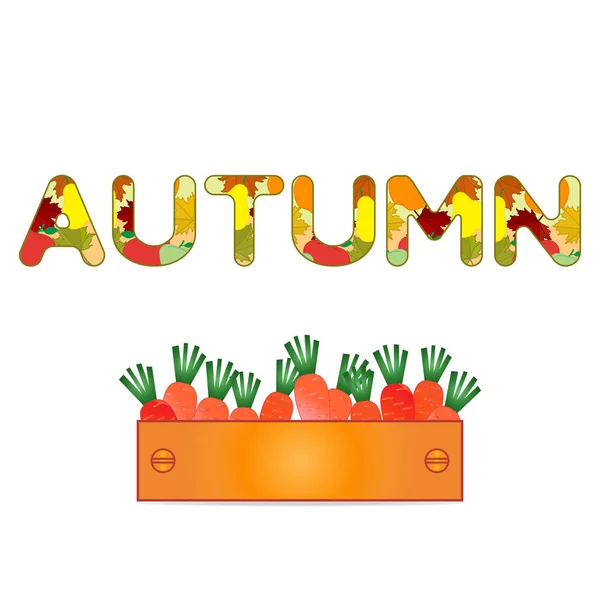 Vector Illustration Box Carrots Autumn Inscription Harvest Festival Thanksgiving Day — Stock Vector