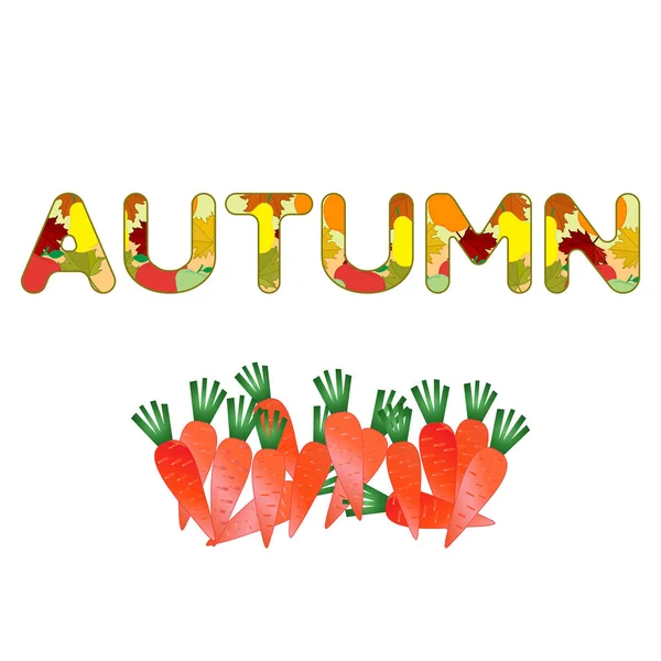 向量例证与胡萝卜和秋季铭文 丰收节 感恩节 蔬菜图标或打印 — 图库矢量图片
