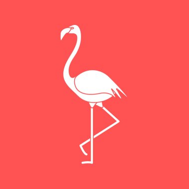 Flamingo kuşu ile vektör çizim. Tasarım poster ya da baskı için.