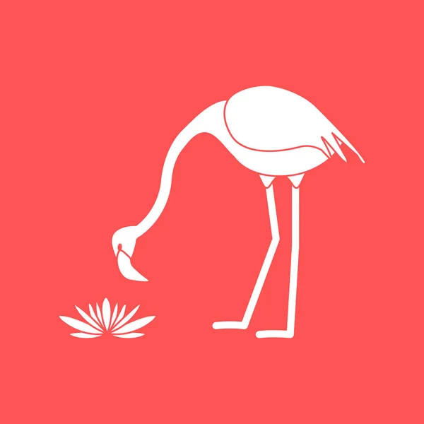 Vektorillustration Med Flamingo Fågel Och Näckrosor Blommor Design För Affisch — Stock vektor