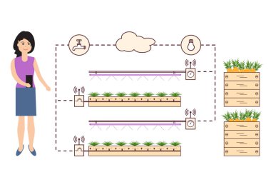 Kadın akıllı çiftlik ve tarım denetler. Düzey izleme ve kontrol, sıcaklık, nem, ışık. Bitkilerin ekimi. Yeni teknolojiler. Yüksek verim.