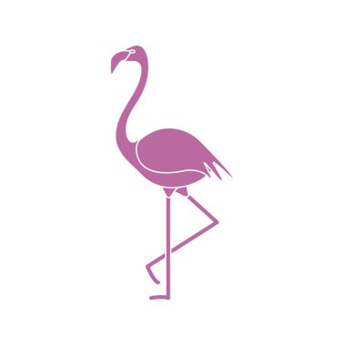 Flamingo kuşu ile vektör çizim. Tasarım poster ya da baskı için.