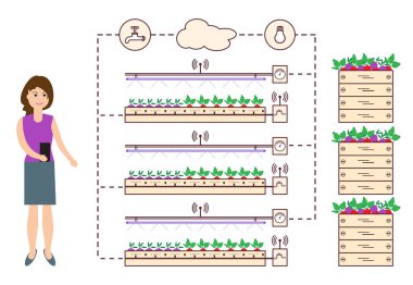 Kadın akıllı çiftlik ve tarım denetler. Düzey izleme ve kontrol, sıcaklık, nem, ışık. Bitkilerin ekimi. Yeni teknolojiler. Yüksek verim.