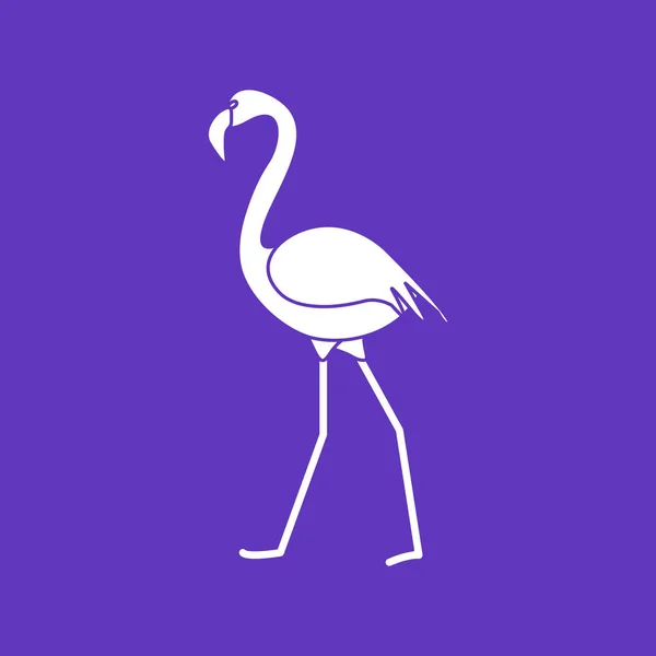 Vektorillustration Med Flamingo Fågel Design För Affisch Eller Skriv — Stock vektor