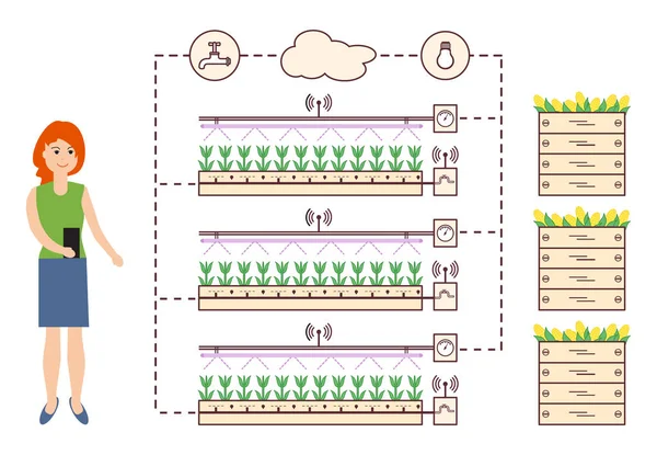 Kadın akıllı çiftlik ve tarım denetler. Düzey izleme ve kontrol, sıcaklık, nem, ışık. Bitkilerin ekimi. Yeni teknolojiler. Yüksek verim.