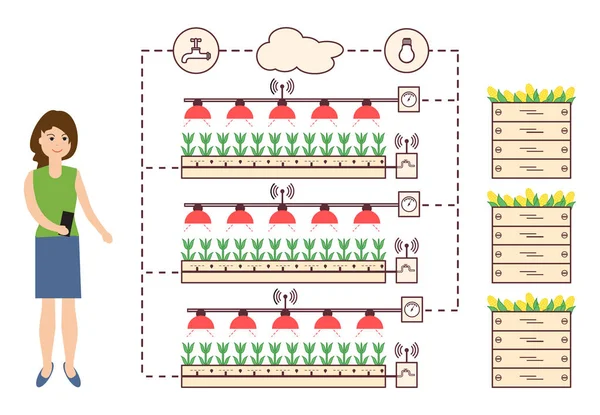 Kadın akıllı çiftlik ve tarım denetler. Düzey izleme ve kontrol, sıcaklık, nem, ışık. Bitkilerin ekimi. Yeni teknolojiler. Yüksek verim.