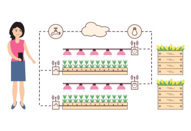 Kadın akıllı çiftlik ve tarım denetler. Düzey izleme ve kontrol, sıcaklık, nem, ışık. Bitkilerin ekimi. Yeni teknolojiler. Yüksek verim.