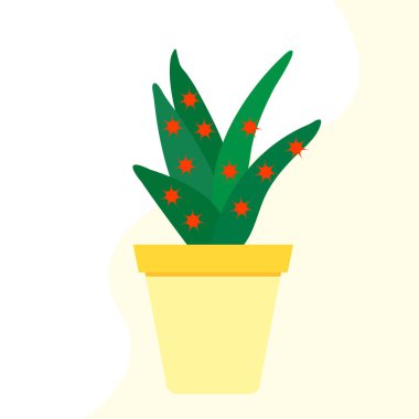 Saksılı kaktüslü vektör illüstrasyonu. Sulu sulu