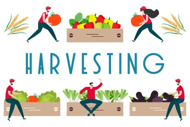 Hasat, tarım işleri İnsanlar. Hasat Festivali