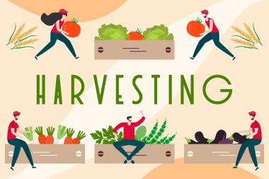 Hasat, tarım işleri İnsanlar. Hasat Festivali