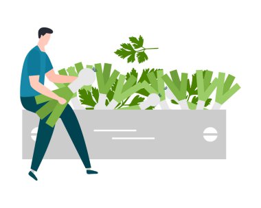 Hasat, tarım işleri İnsanlar. Hasat Festivali